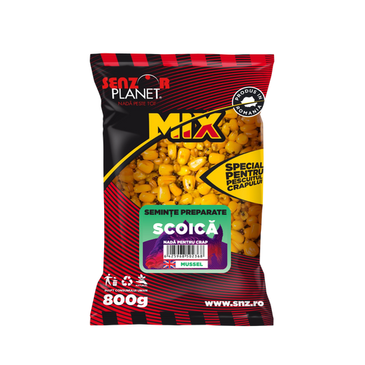 SEMINȚE SCOICĂ 800g
